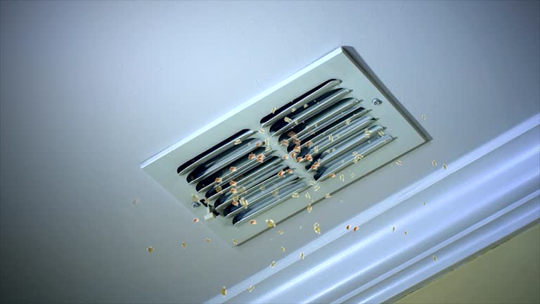 Best Air Duct Cleaning Near Me  in Manhattan Beach, CA
